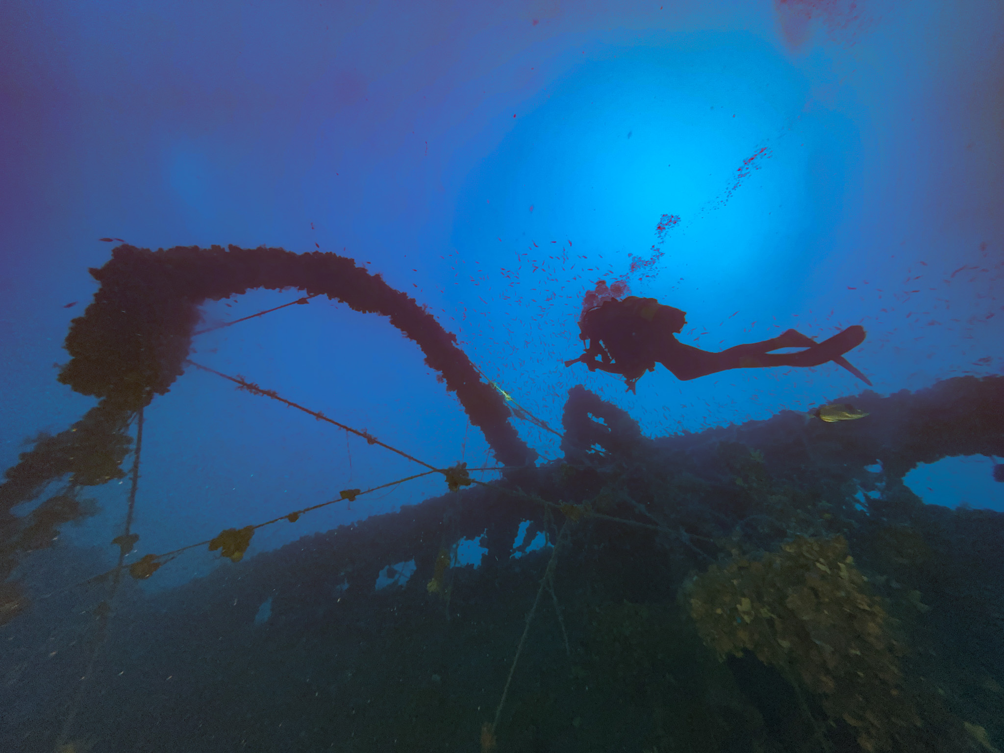 Relitto TIRPITZ